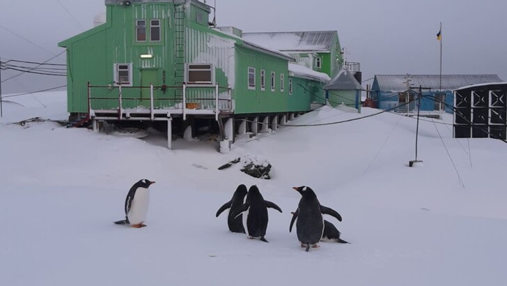  | Фото: facebook.com/AntarcticCenter