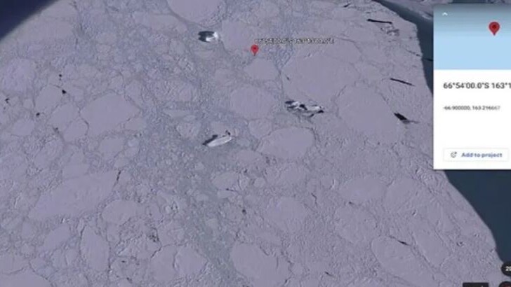 Користувач Google Earth стверджує, що знайшов корабель біля берегів Антарктиди