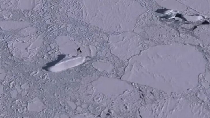 Пользователь Google Earth утверждает, что нашел корабль у берегов Антарктиды | Фото: YouTube | MrMBBB333