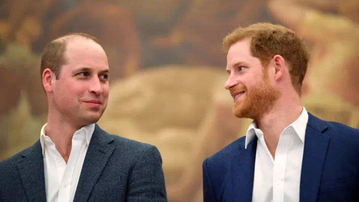 Принц Уильям и принц Гарри встретятся после церемонии открытия памятника принцессе Диане