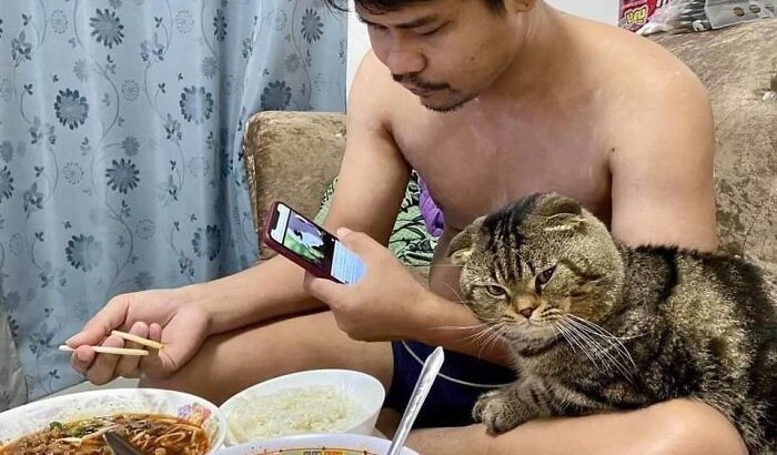 Кот по кличке Джарвис обожает своего хозяина | Фото: Super Cats в Facebook