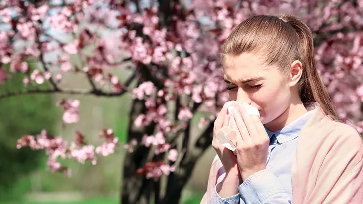 Сезонная аллергия длится весь период цветения какого-то растения-аллергена