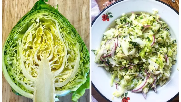Салат из свежей капусты: рецепты