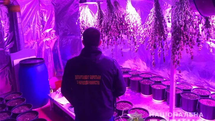 Под Киевом мужчина выращивал в подвале дома коноплю. Фото: Нацполиция