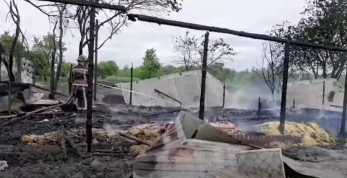 В Киевской области сгорело 2 тысячи кур. Фото: скрин