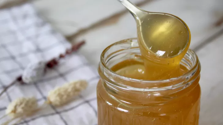 Практически таинственный клеверный мед - для Рыб