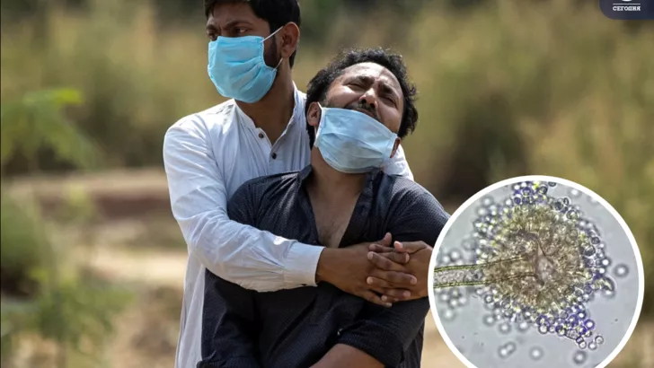 Переболевшим коронавирусом в Индии грозит новая опасная болезнь. Фото: коллаж "Сегодня"