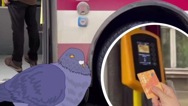 Птицы рекламировали карточку, с помощью которой можно расплачиваться за проезд. Скриншот из видео