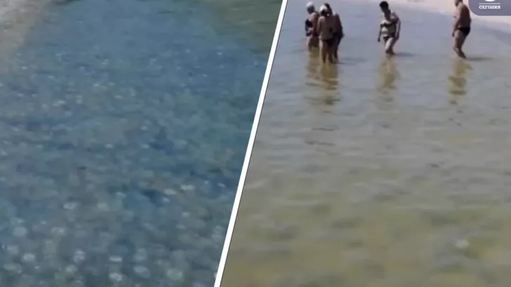 Медузы прибились к берегу и испортили отдых людям. Коллаж "Сегодня"