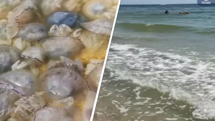 Если раньше на берегу было полчище медуз, то сейчас их практически нет. Коллаж "Сегодня"