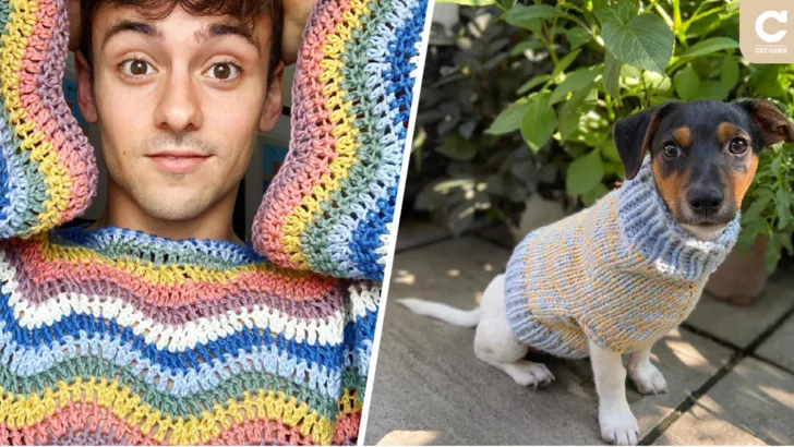 Том Дейли со своим собакой в свитерах, связанных собственноручно