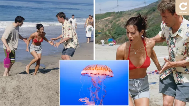 Если ужалила медуза, то промойте ожог морской водой и уйдите домой