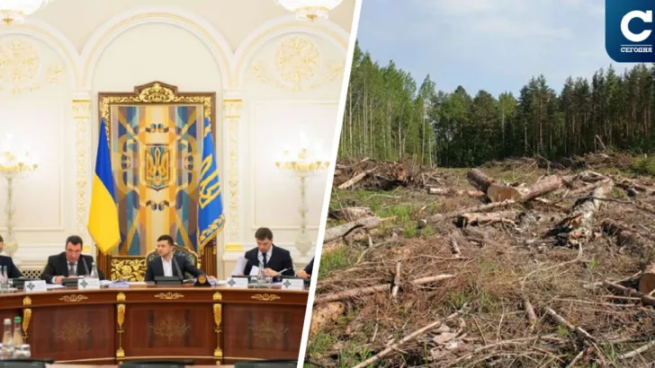 Експерти обговорили реалізацію екологічної ініціативи "Масштабне залісення України" / Фото: колаж "Сьогодні"