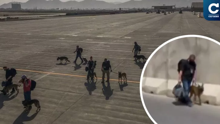 ЗМІ пишуть, що військові з тваринами покинули Афганістан ще 15 серпня. Колаж "Сьогодні"