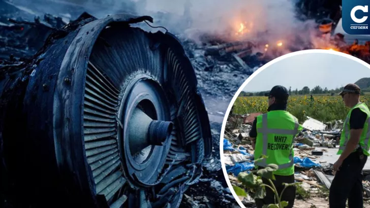 Следователи собирают информацию о катастрофе с Боингом MH17. Фото: коллаж "Сегодня"