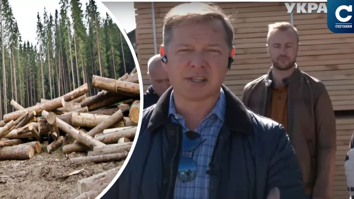 Ляшко выступил против отмены экспорта леса. Коллаж "Сегодня"