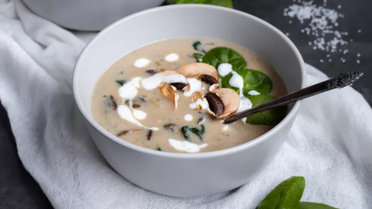 Рецепты супов с лесными грибами