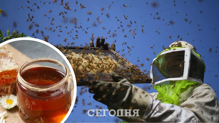 В Украине выросли цены на продукты пчеловодства