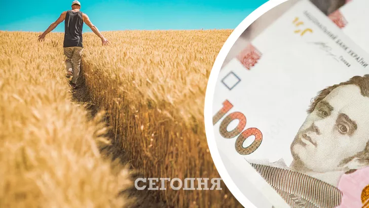 Экспорт украинского зерна превысил 13,1 млн тонн зерна