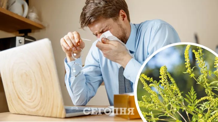 Чтобы вернуть полноценную жизнь при аллергии на амброзию, важно лечиться
