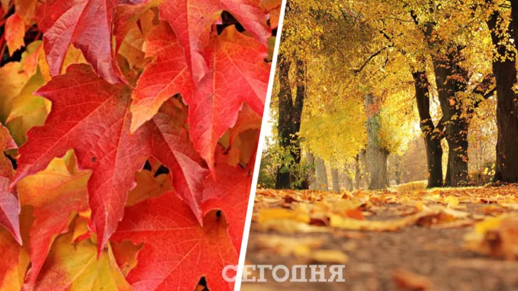 На территории Украины ожидается солнечная погода без осадков. Коллаж "Сегодня"