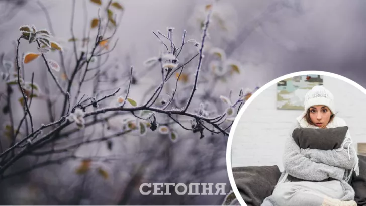В Україні знову заморозки. Фото: колаж "Сегодня"
