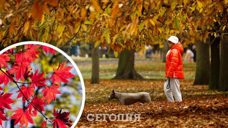 На заході України температура підніметься до 19 градусів тепла/Колаж: Сьогодні