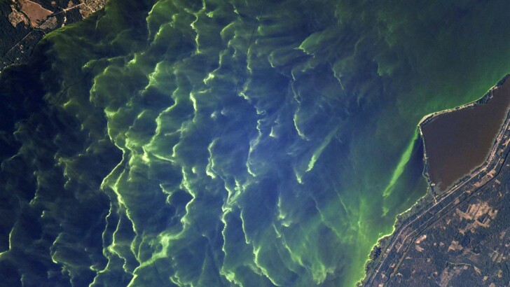 Лучшие фото Земли из космоса | Фото: Twitter