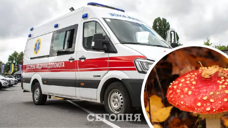 В Чернигове мужчина отравился грибами, попал в больницу и умер. Фото: коллаж "Сегодня"