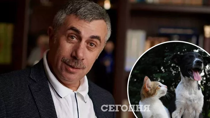 Доктор Комаровский говорит, что риск заразиться от домашних животных минимальный