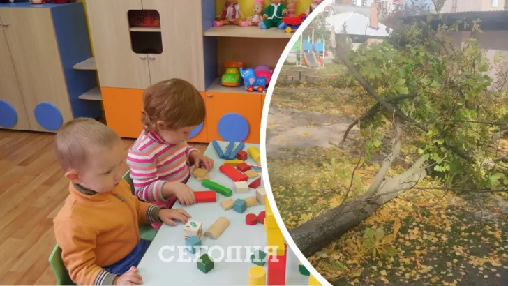 В Полтавской области дерево упало на двух детей и воспитательницу. Фото: коллаж "Сегодня"