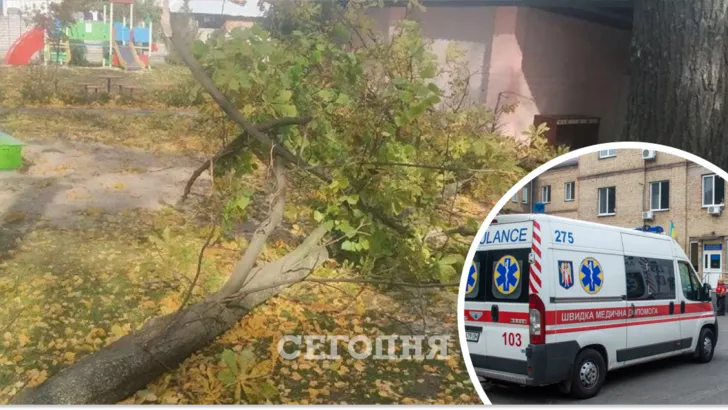 В Кременчуге дерево упало на детей