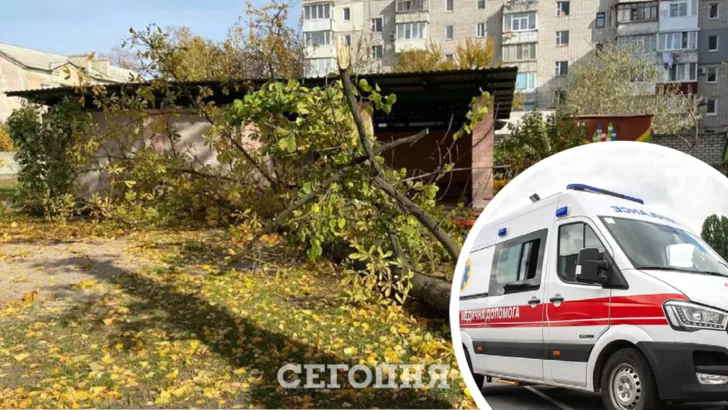 В Полтавской области дерево упало на детей и воспитательницу. Фото: коллаж "Сегодня"