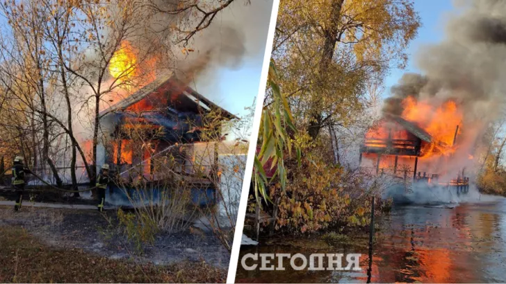 Пожар в Гидропарке в Киеве / Коллаж "Сегодня"