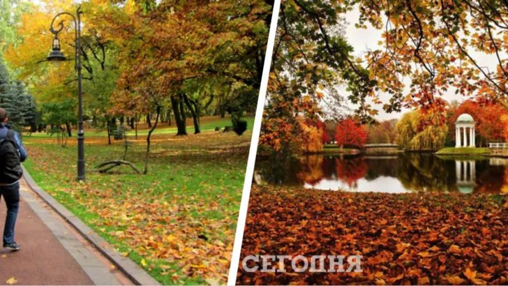 Погода в Україні на 30 жовтня/Колаж "Сьогодні"