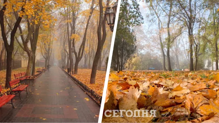 Погода в Одессе на 30 октября/Коллаж "Сегодня"