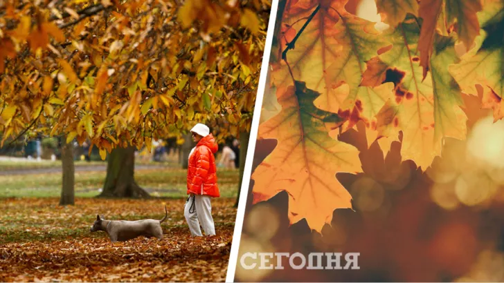 Погода в Украине на 3 ноября / Коллаж "Сегодня"
