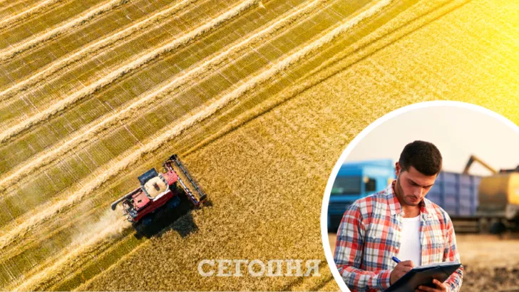 В Украине дорожает зерно