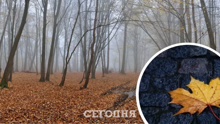Погода в Украине на 6 ноября / Коллаж "Сегодня"