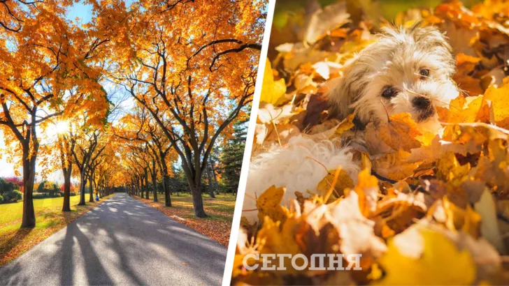 Теплая погода в Украине осенью. Фото: коллаж "Сегодня"