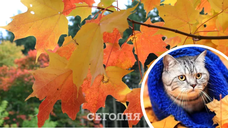 Прохладная погода в Украине. Фото: коллаж "Сегодня"
