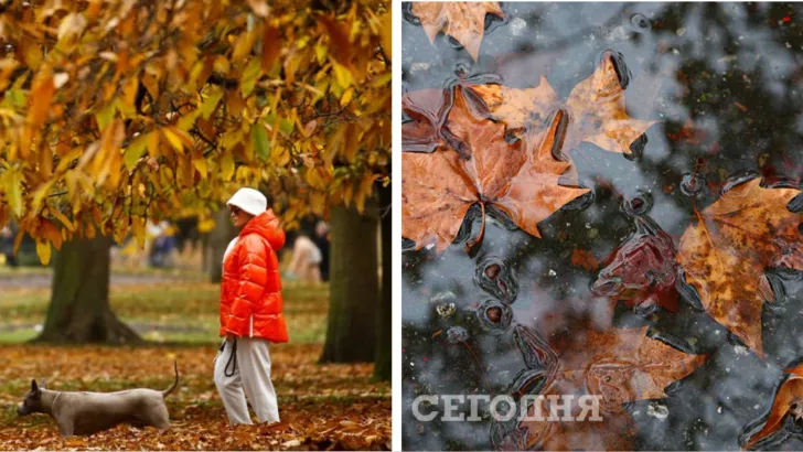 Погода в Украине на 10 ноября / Коллаж "Сегодня"