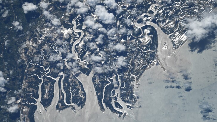 Найкращі фото Землі з космосу | Фото: Twitter