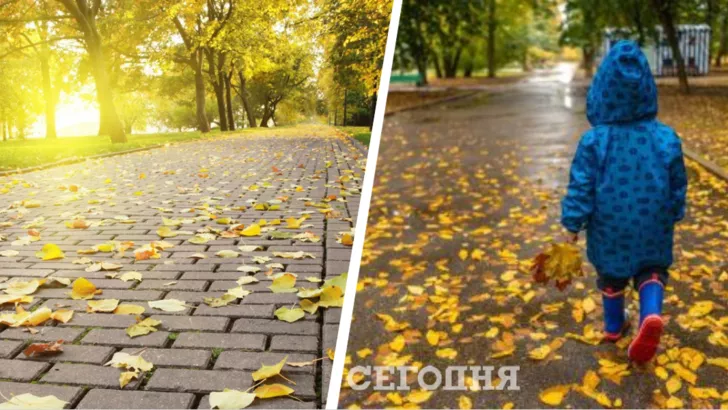 Погода в Украине на 12 ноября / Коллаж "Сегодня"