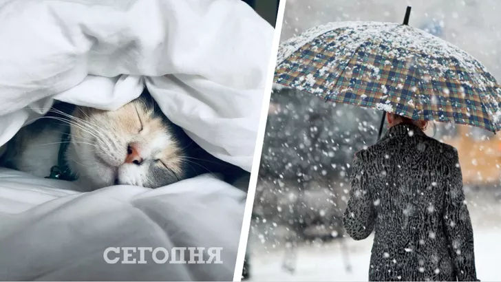 Стало відомо, коли у Києві випаде перший сніг