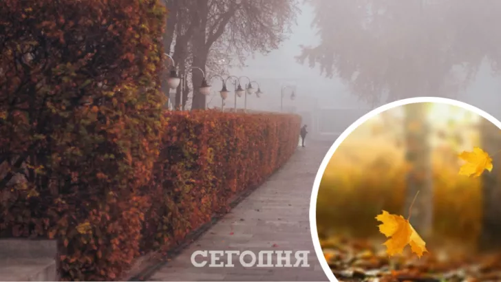 Погода в Києві на 17 листопада / Колаж "Сьогодні"