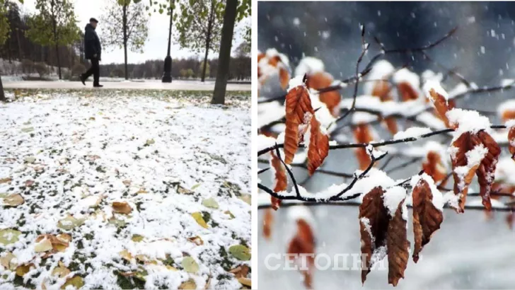 Погода в Украине на 18 ноября/Коллаж "Сегодня"