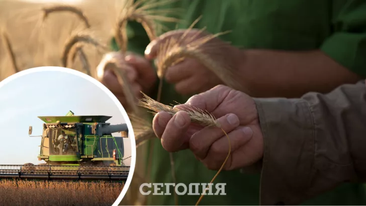 Зерно в Україні змінилося в ціні