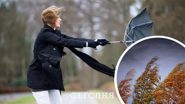 Погода в Украине на 20 ноября / Коллаж "Сегодня"
