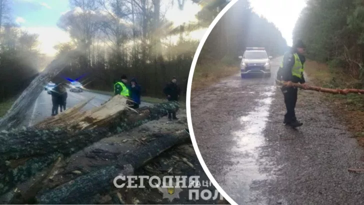 Поліцейські Чернігівщини допомагають громадянам долати наслідки буревію